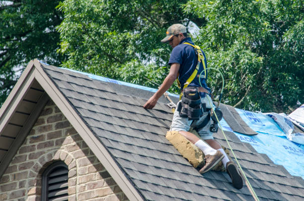 Best Roof Gutter Cleaning  in Indian Trail, NC